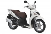 2010 Suzuki Sixteen 125 photo